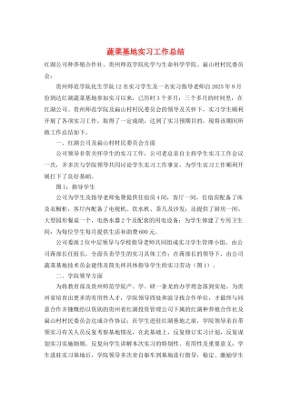 蔬菜基地实习工作总结