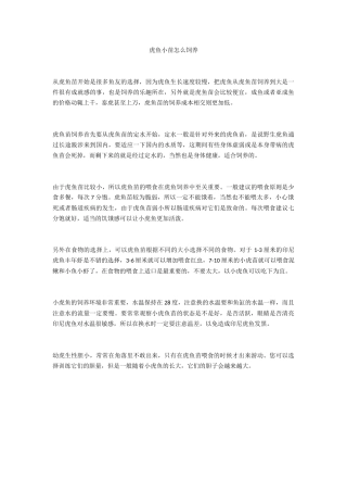 虎鱼小苗怎么饲养