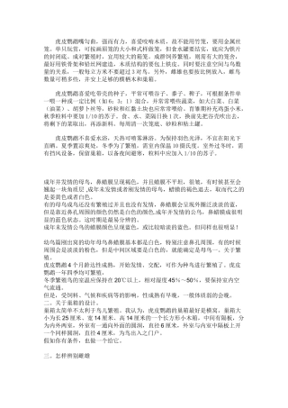 虎皮鹦鹉新手必看集锦