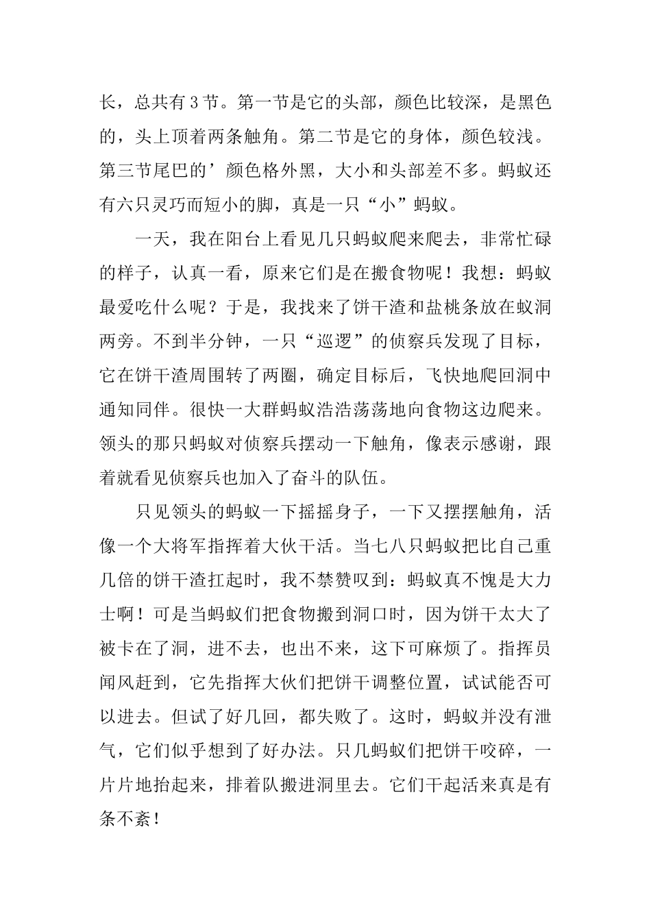 蚂蚁观察日记_第2页