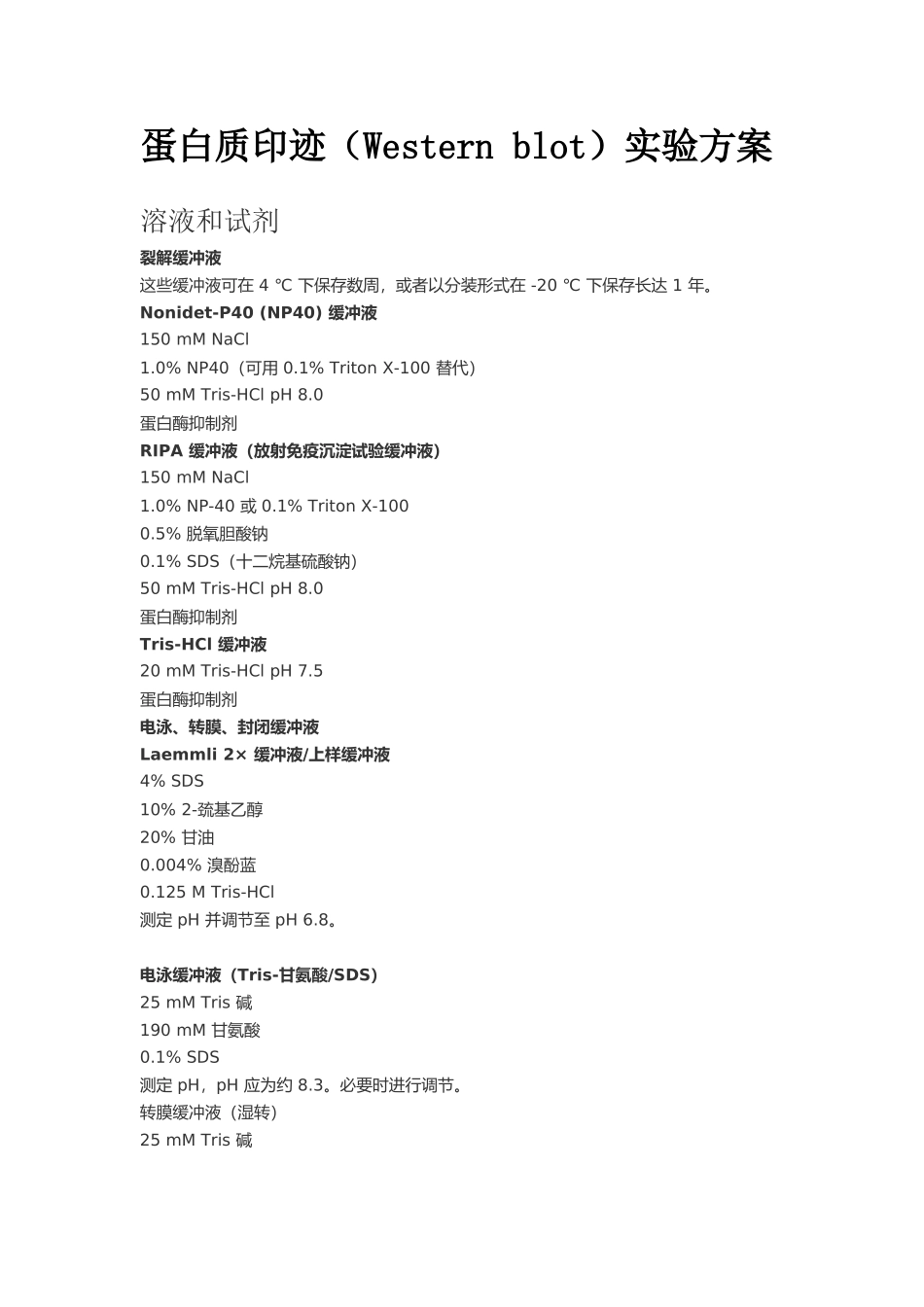 蛋白质印迹实验方案_第1页