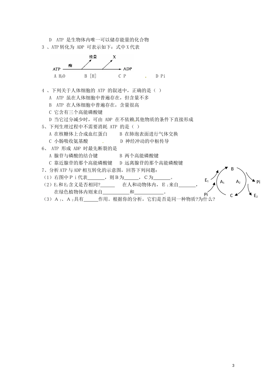 重庆市江津第五中学2014年高中生物 第5章 细胞的能量供应和利用 第2节 细胞的能量通货 ATP2学案 新人教版必修1_第3页
