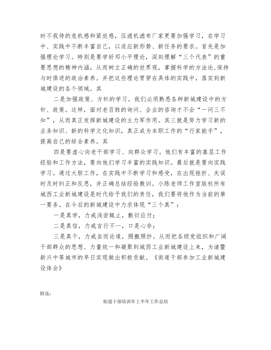 街道干部参与工业新城建设体会_第3页