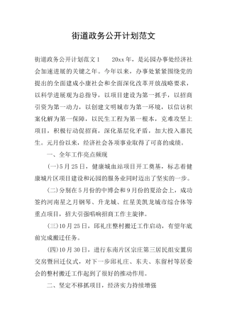 街道政务公开计划范文