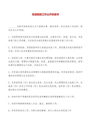 街道民政工作公开承诺书——范本