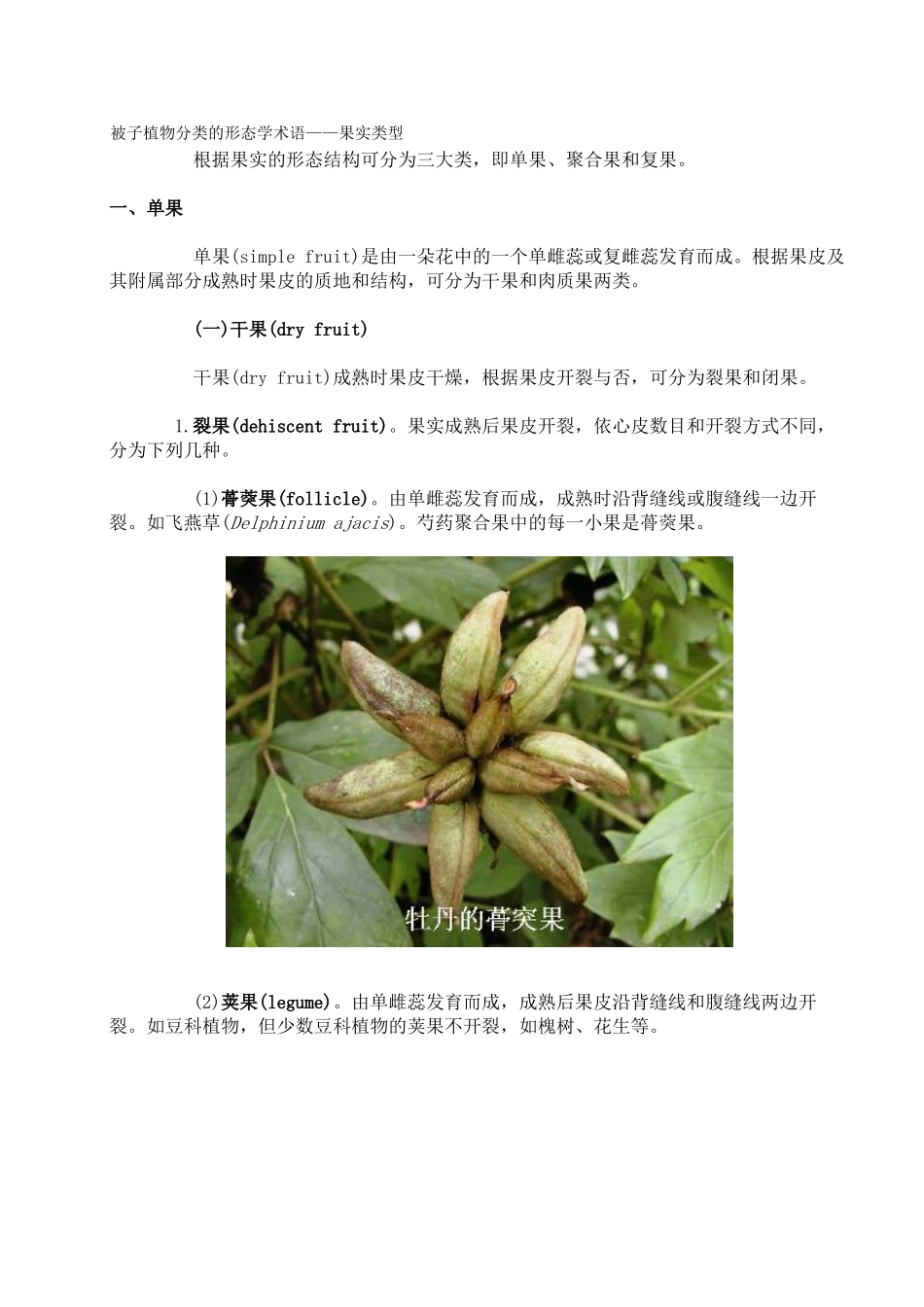 被子植物分类的形态学术语——果实类型_第1页