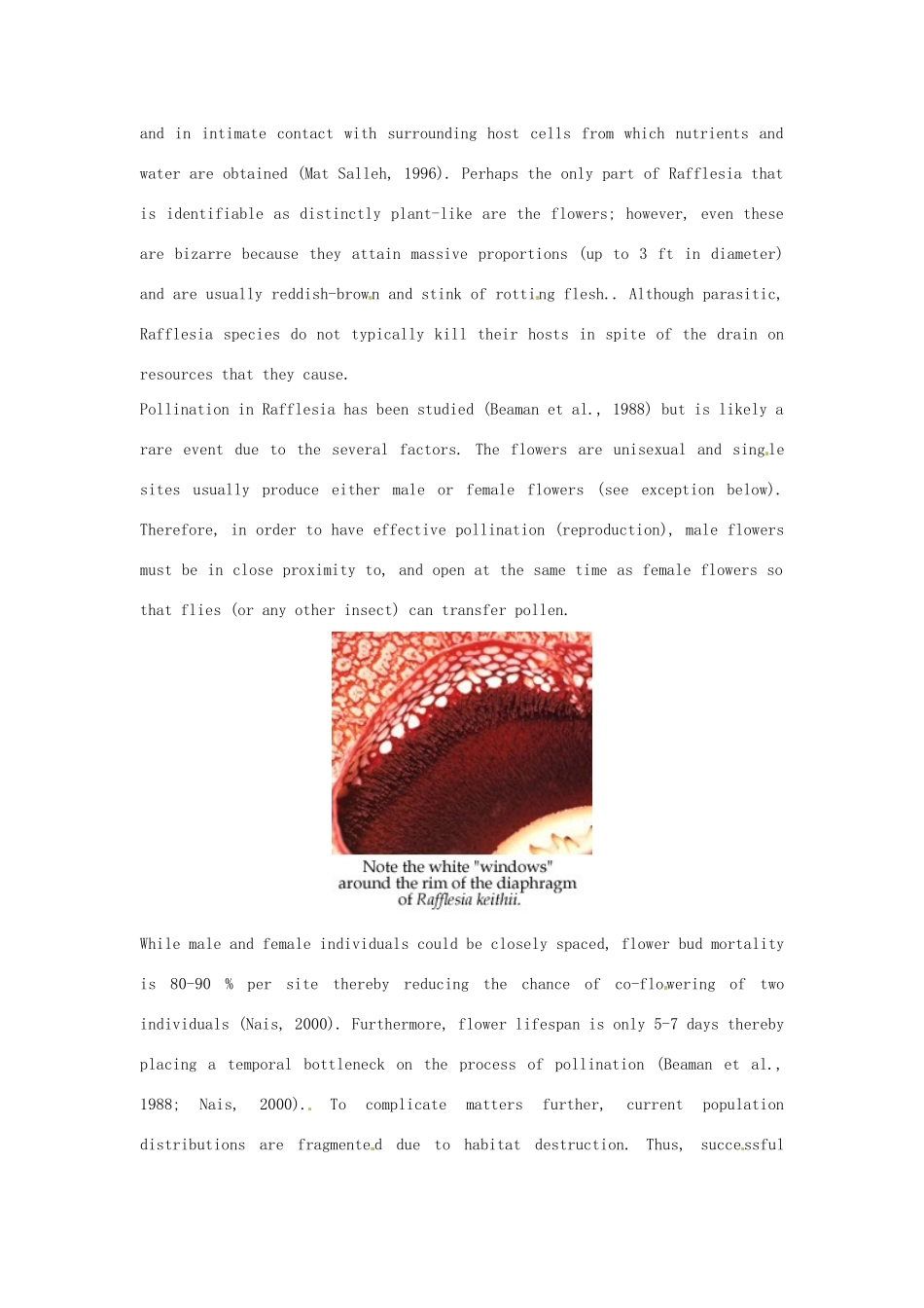 陕西省定边县第四中学高中英语 Unit 4 Exploring plants 背景材料 文章 Rafflesia Life History素材 新人教版选修9_第2页