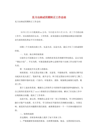 见习出纳试用期转正工作总结