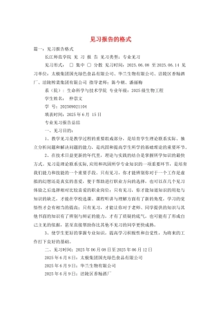 见习报告的格式
