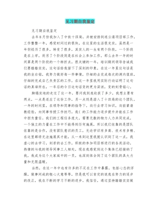 见习期自我鉴定
