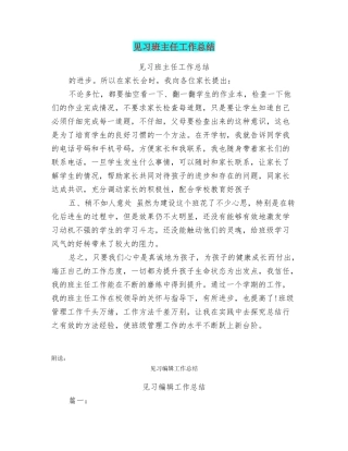 见习班主任工作总结