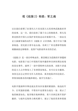 观《战狼2》有感：军之魂