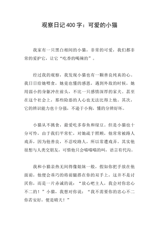 观察日记400字：可爱的小猫