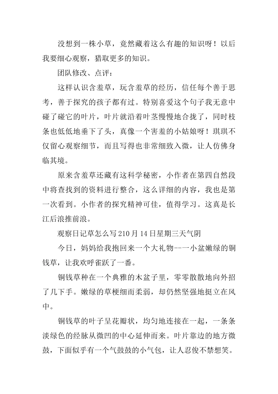观察日记草怎么写_第2页