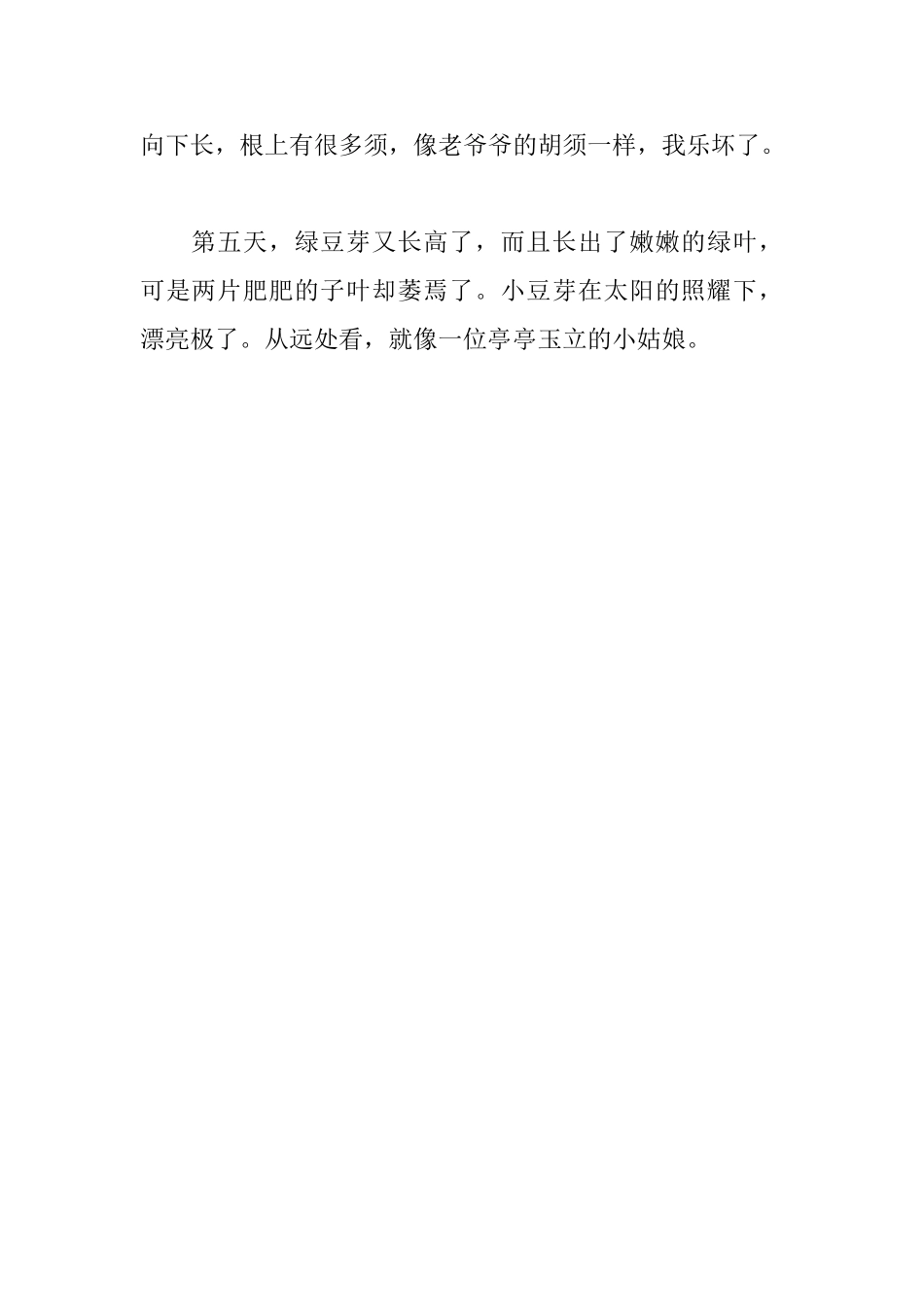 观察绿豆日记400字左右_第3页