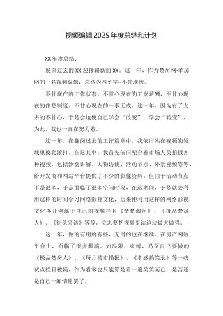 视频编辑2025年度总结和计划