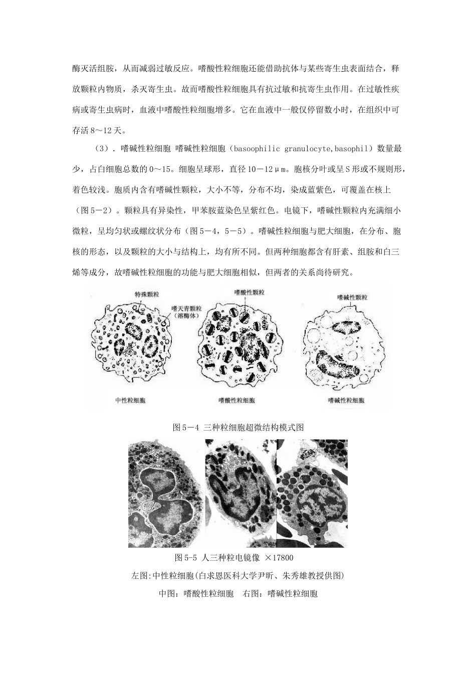 重庆市荣昌安富中学2014届高二生物 内环境与稳态教案_第3页