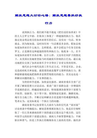 解放思想大讨论心得：解放思想要抓好执行力