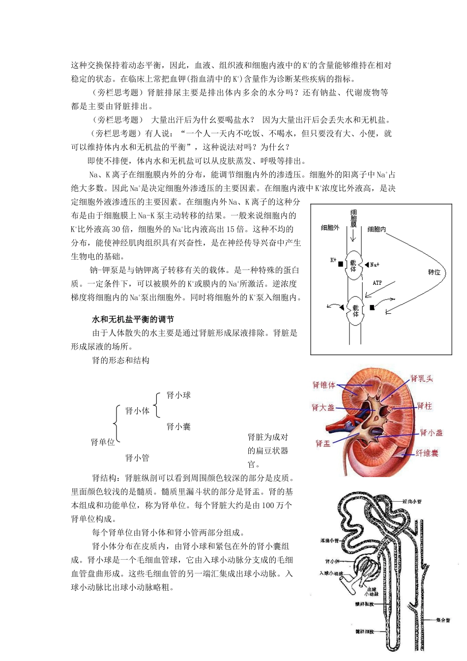 重庆市荣昌安富中学2014届高二生物 水和无机盐的平衡和调节教案_第2页