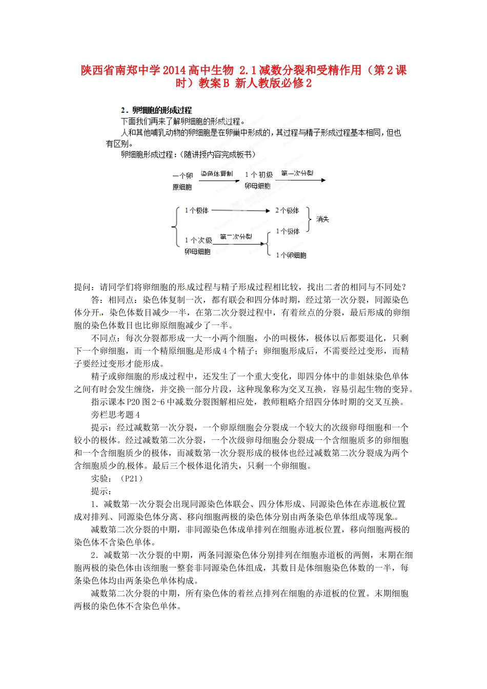陕西省南郑中学2014高中生物 2.1减数分裂和受精作用（第2课时）教案B 新人教版必修2_第1页