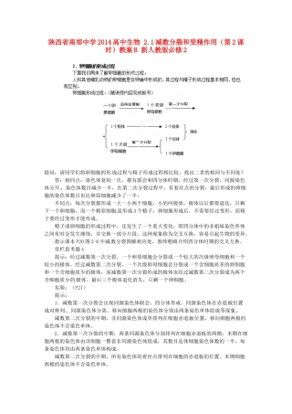 陕西省南郑中学2014高中生物 2.1减数分裂和受精作用（第2课时）教案B 新人教版必修2