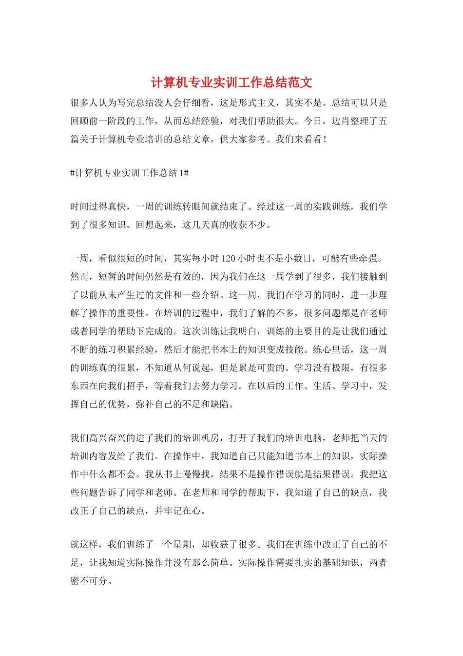 计算机专业实训工作总结范文_第1页