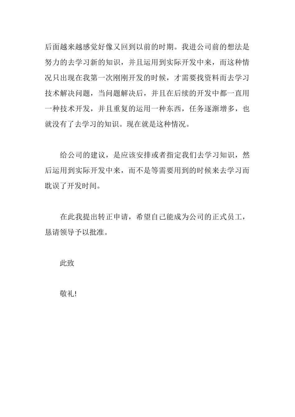 计算机开发人员辞职报告_第3页