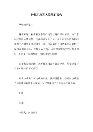 计算机开发人员辞职报告