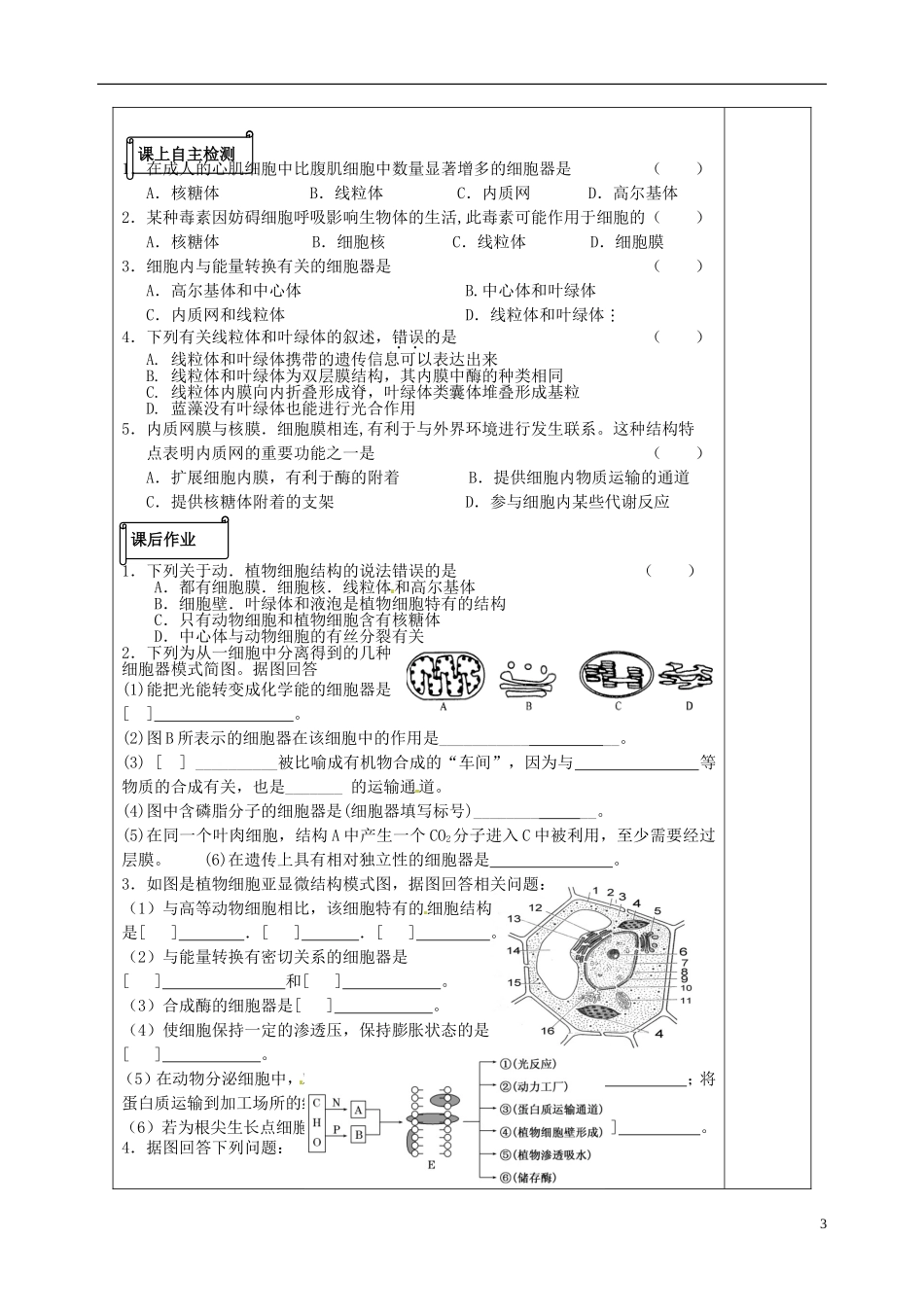 陕西省榆林育才中学2014高中生物 3.2.3 细胞的类型和结构-细胞质和细胞器导学案 苏教版必修1_第3页