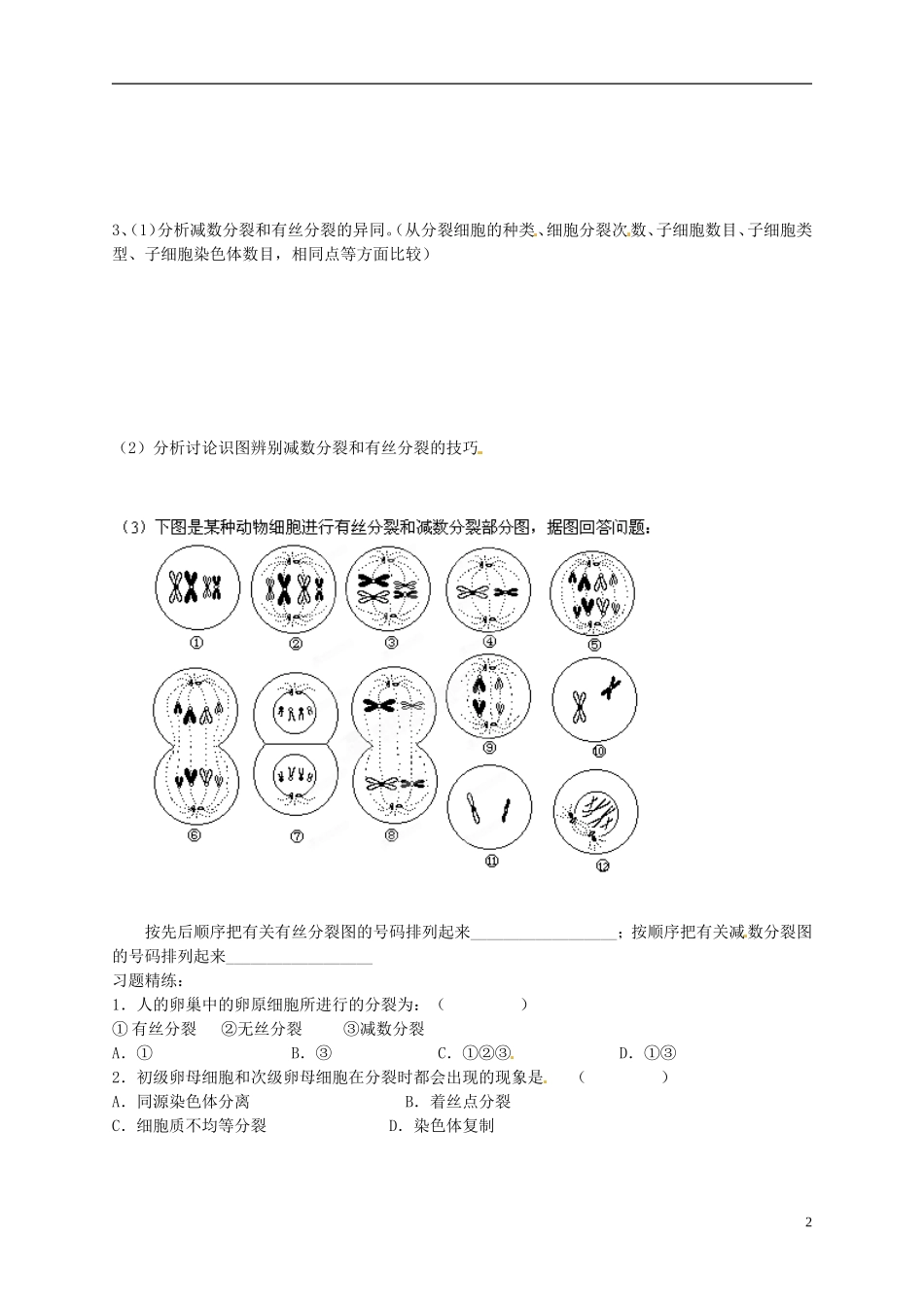 陕西省榆林育才中学2014高中生物 第2章 第1节 减数分裂（第二课时）导学案（无答案）苏教版必修2_第2页