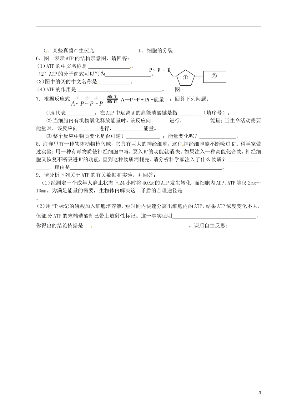 陕西省榆林育才中学2014高中生物 第4章 第1节 第1讲 生命活动的能量“通货”—ATP导学案 苏教版必修1_第3页