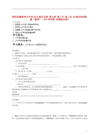 陕西省榆林育才中学2014高中生物 第4章 第1节 第1讲 生命活动的能量“通货”—ATP导学案 苏教版必修1