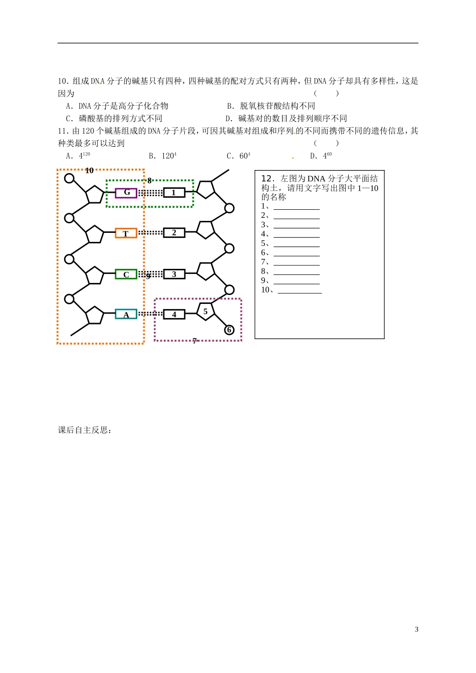 陕西省榆林育才中学2014高中生物 第4章 第2节第1讲 DNA的结构导学案 苏教版必修2_第3页