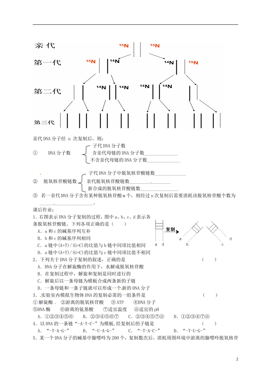 陕西省榆林育才中学2014高中生物 第4章 第2节第3讲 DNA的复制导学案 苏教版必修2_第2页