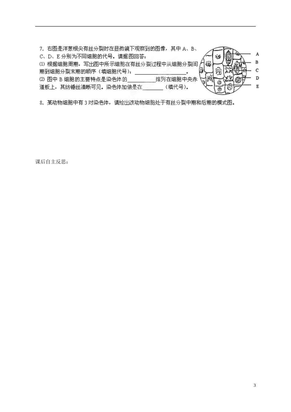 陕西省榆林育才中学2014高中生物 第5章 第1节 第3讲 观察植物细胞有丝分裂的过程导学案 苏教版必修1_第3页