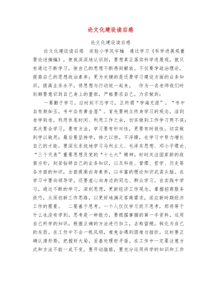 论文化建设读后感