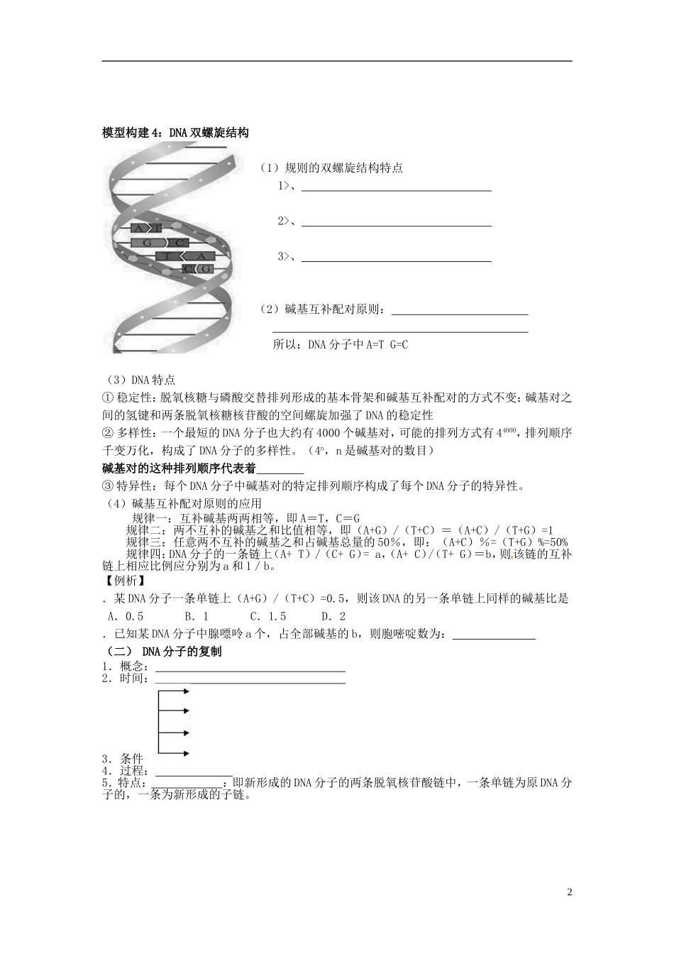 陕西省神木县第六中学2014年高中生物 DNA分子的结构和复制学案 新人教版必修2_第2页