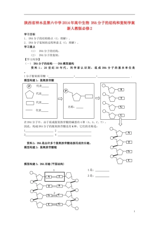 陕西省神木县第六中学2014年高中生物 DNA分子的结构和复制学案 新人教版必修2