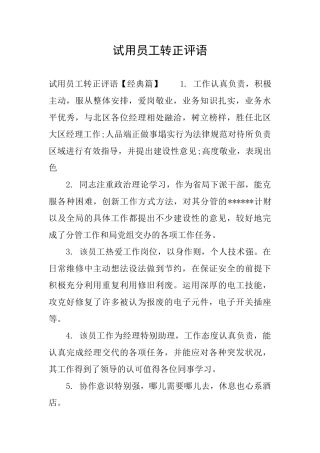 试用员工转正评语