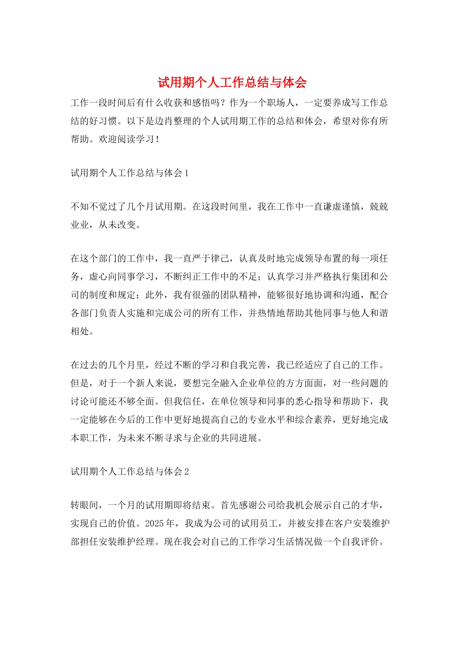 试用期个人工作总结与体会_第1页