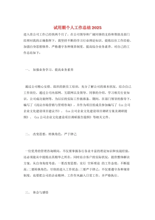 试用期个人工作总结2025