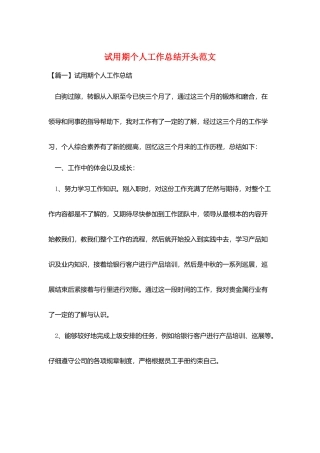 试用期个人工作总结开头范文