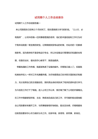试用期个人工作总结报告