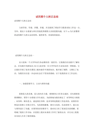试用期个人转正总结