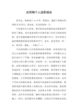 试用期个人述职报告