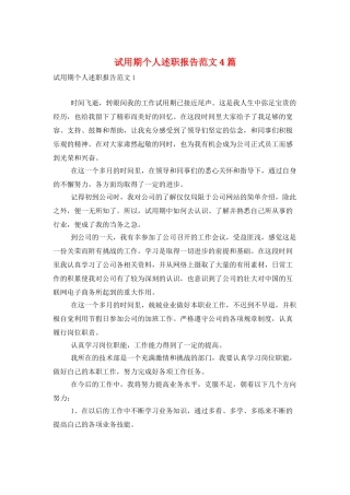 试用期个人述职报告范文4篇
