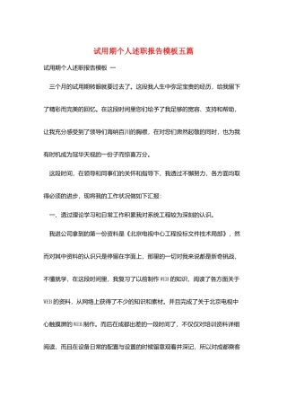 试用期个人述职报告模板五篇