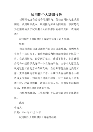 试用期个人辞职报告