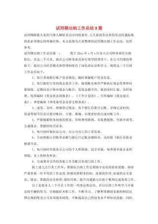 试用期出纳工作总结3篇