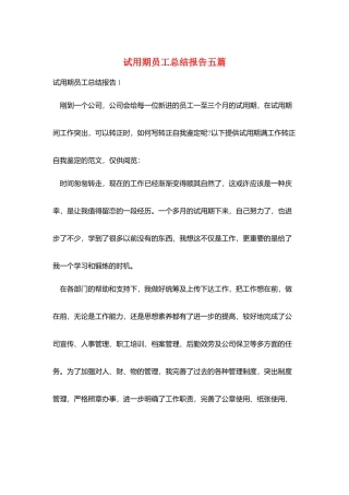 试用期员工总结报告五篇